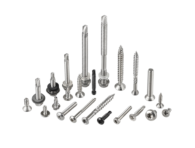 Stainless Steel Screw